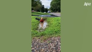 Самые смешные и запутанные неудачи😱 Самые нев