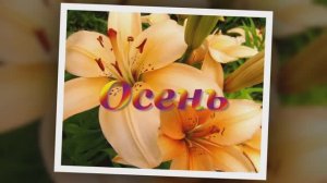 Студия 80 (Елена Полозова ) - Осень