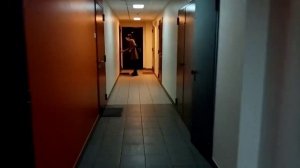 Домой после прогулки