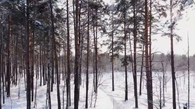 Александр Лесников.  Зимушка-зима.