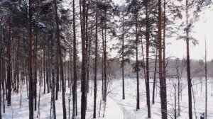Александр Лесников. Зимушка-зима.