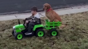 Едем, едем в соседнее село на дискотеку!😂