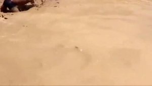 Маленькие камбоджийцы против анаконды / видео приколы 2025 смотреть онлайн / приколы видео самые