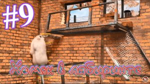 Хомяк в лабиринте (9 серия)