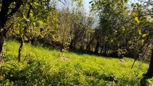 Сентябрь-бродяга за окном...