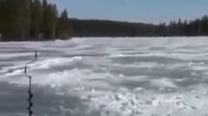 Беспрецедентный случай на рыбалке / видео приколы 2025 смотреть онлайн / приколы видео самые смешные