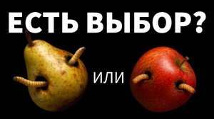 Правда о дне выборов