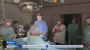 Сбила машина у лесополосы: сбор грибов едва не обернулся трагедией для ребёнка