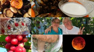 Жили были.Обо всём понемногу.