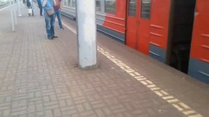 Электровоз ЭП20-063 с пассажирским поездом, а также электропоезда ЭД2Т-0042 и ЭД4М-0???