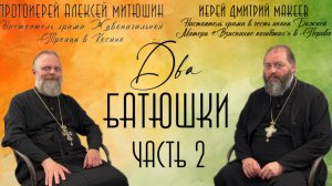 Грех ли обличать в ереси. Не сотвори себе кумира/ДВА БАТЮШКИ/ Иерей Дмитрий Макеев Часть 2