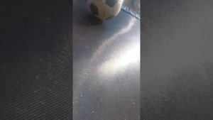 Играем в бешеною крысу часть 2