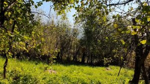 Каждый выбирает по себе...