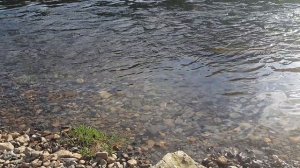 Эндрювин - Река Чусовая (22.08.25) 001.