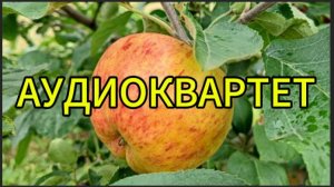 Ласковых снов