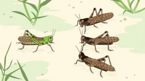 Сериал Невероятные факты эволюции — 23 серия / Zannen na Ikimono