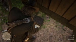 Ещё Бесконечные деньги в Шейди Белль RDR2