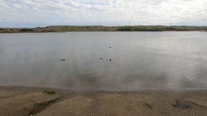 город Красноярск, озеро парк 06.09.2025г.