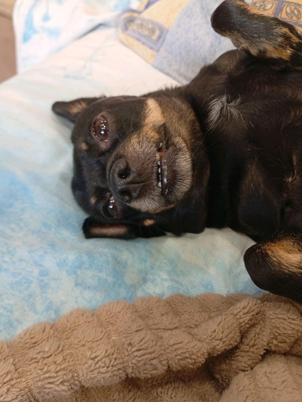 ушщущу смотреть онлайн