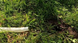 Как слить с бассейна 3 тонны воды, что бы не затопить участок, огород,