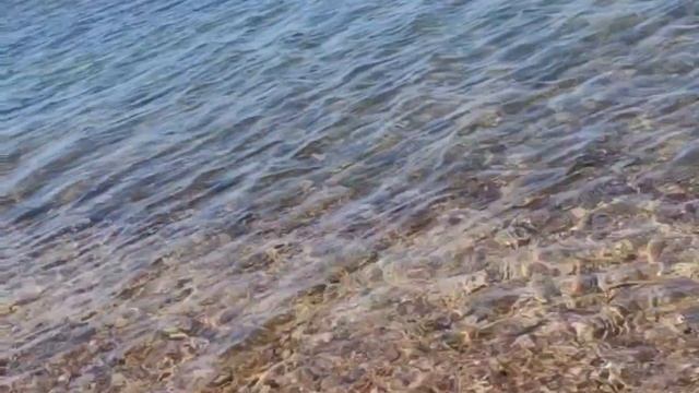 Азовское море ⛵