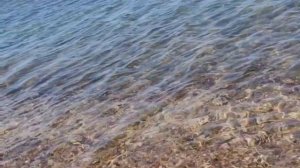 Азовское море ⛵