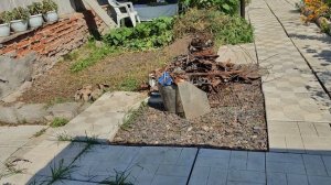 ВЛОГИ из деревни. Дождь. Картошка. Наш ужин. Мы молодцы.