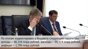 Городская Дума утвердила корректировку бюджета