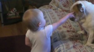 Девочка беседует с псом / видео приколы 2025 смотреть онлайн / приколы видео самые смешные / новые