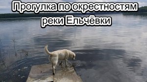 Прогулка по окрестностям реки Ельчёвки