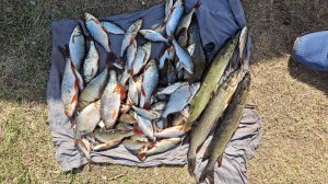 Первые щучки в этом сезоне,красноперка рвет удочки!!!