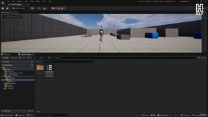 14 - Input Action Mapping
