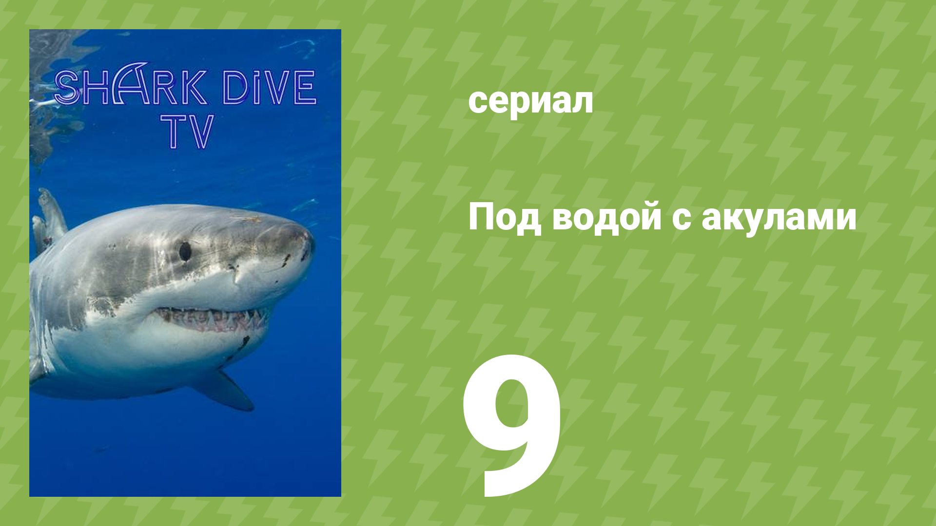 Под водой с акулами 9 серия (документальный сериал, 2023)