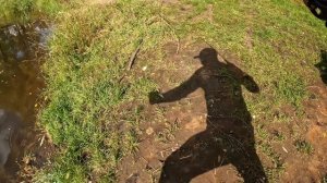 Первая щука сентябрь 2025