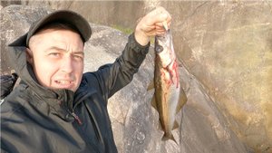 ГУММОРОН! Ловлю рыбу со скал