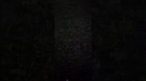 Лунное-кровавое затмение уже началось!!