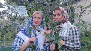 Ночь проходит, а я у порога.