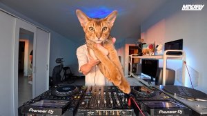 MaxxFey - sunset vibes mix