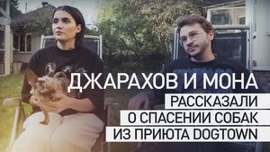 «Это треш... Там был ад»: Джарахов и Мона рассказали о спасении собак из подмосковного приюта