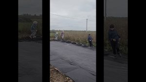 Дачные развлечения