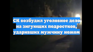 СК возбудил уголовное дело на зигующих подростков, ударивших мужчину ножом