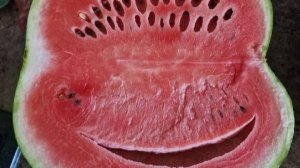 Арбузный день