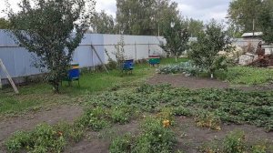 Обзор проделанной работы и о допущенных ошибках.