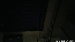 06.09.2025 музыка с часа до трёх кв4. Результат деятельности полиции. Оренбург.