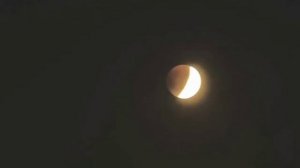 🌑В следующий раз редчайшее лунное затмение можно будет увидеть только 31 декабря 2028 года🌑