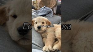 Пой эти песни если речь идёт о тебе