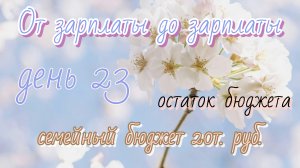 От зарплаты до зарплаты//день23
