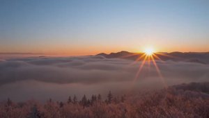 Премудрость