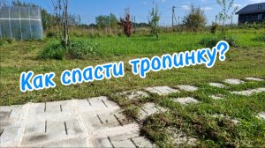 Как спасти тропинку от сорняков: 5 эффективных способов, включая шпатлевку для швов плитки. Сентябрь