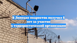 В Липецке подросток получил 5 лет за участие в террористической организации